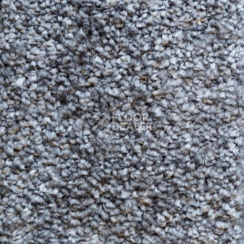 Ковролин AW Masquerade Certosa 98 фото 1 | FLOORDEALER
